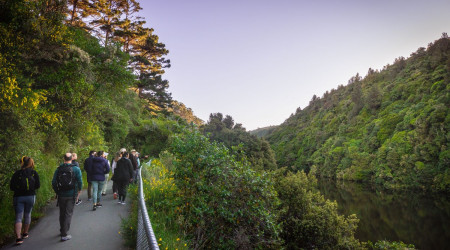 Zealandia Twilight Tour Johnny Hendrikus WellingtonNZ 201912 low