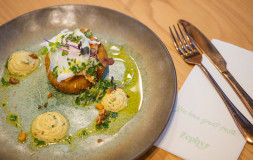 Takina Zephyr Cafe June 2023 Stock 56 v2