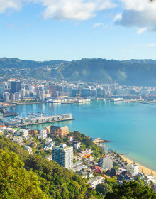 view of Wellington CBD from Mt Victoria