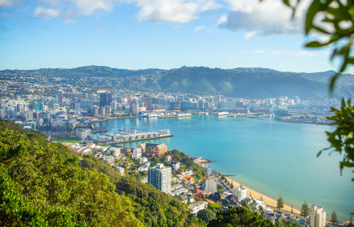 view of Wellington CBD from Mt Victoria
